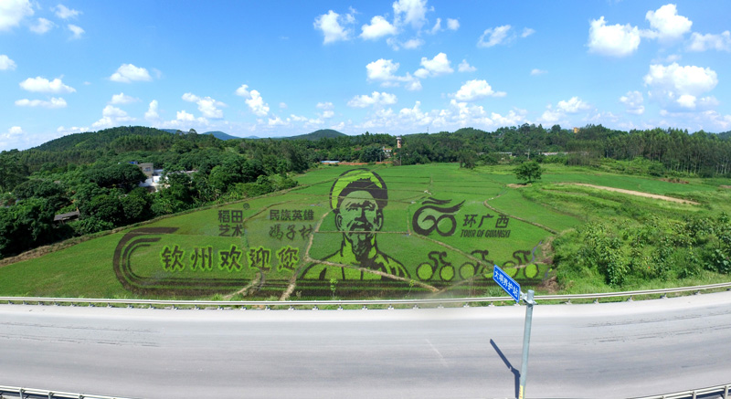 钦州稻田画民族英雄冯子材